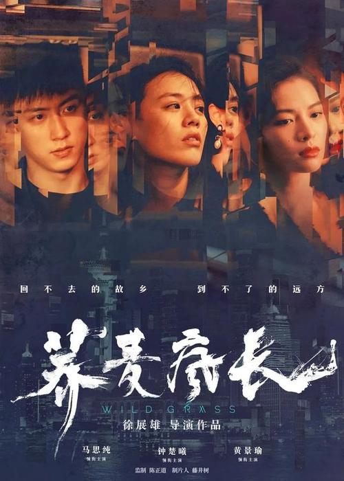 德累斯顿音乐学院经济学文凭证书
